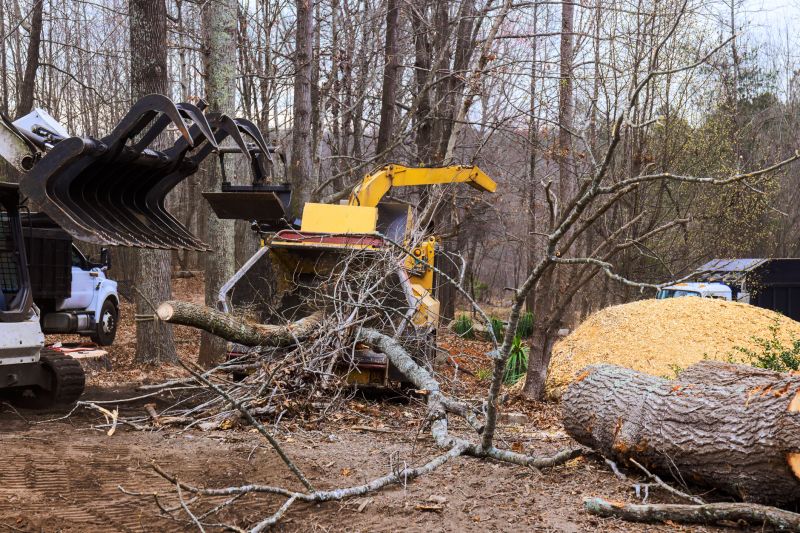 Brush and Tree Removal Process