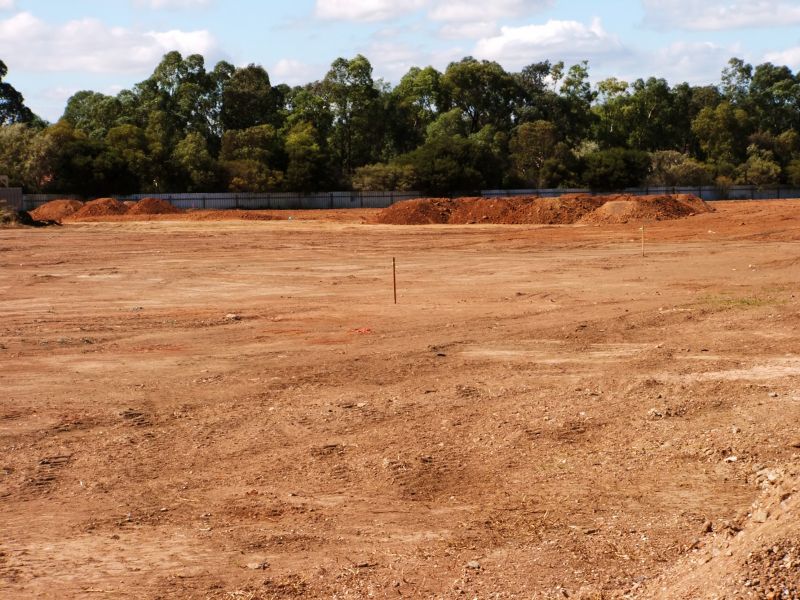 Site Preparation for Development