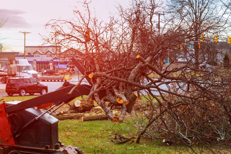 Increase Your Land Clearing Business with an AI Driven, Targeted Website