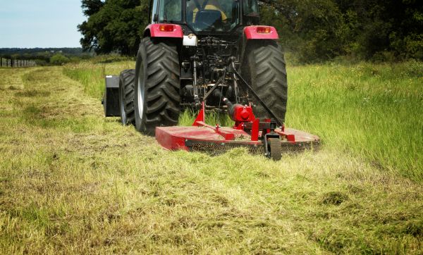 Brush Clearing Service in Carson City