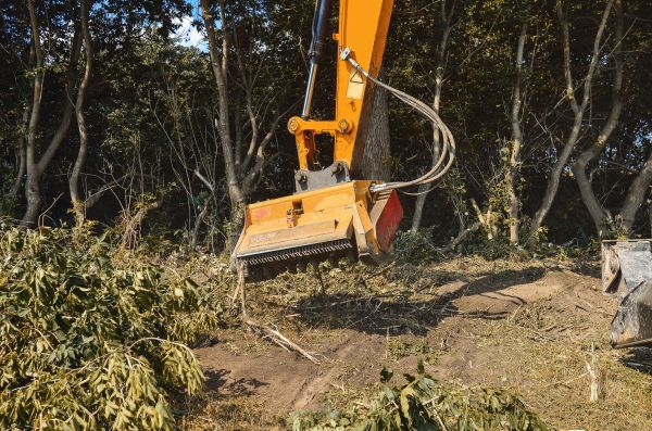 Brush Removal Service in Carson City