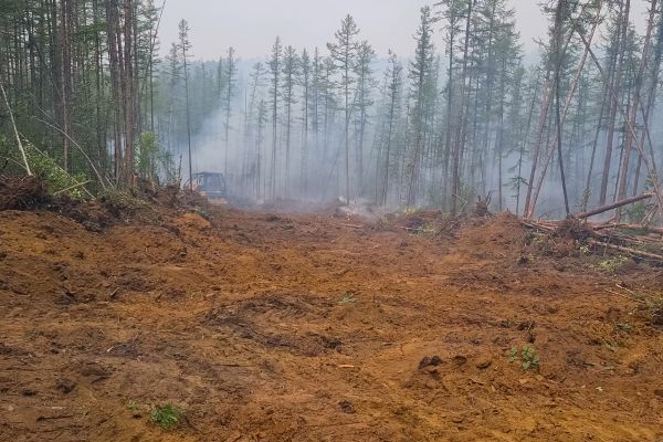 Cost of Hill Clearing in Carson City